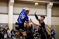 Handball-Ergebnisdienst Bild: Handball-Ergebnisdienst
