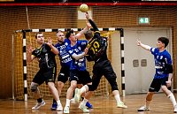 Handball-Ergebnisdienst Bild: Handball-Ergebnisdienst