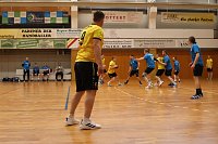Handball-Ergebnisdienst Bild: Handball-Ergebnisdienst