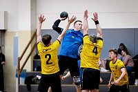 Handball-Ergebnisdienst Bild: Handball-Ergebnisdienst