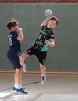 Handball-Ergebnisdienst Bild: Handball-Ergebnisdienst