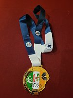 Bild: Die Goldmedaille von Susanne Walther. 