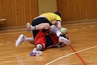 Bild: Handball-Ergebnisdienst