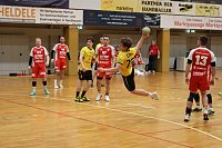 Bild: Handball-Ergebnisdienst