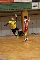 Bild: Handball-Ergebnisdienst