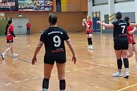 Bild: Handball-Ergebnisdienst