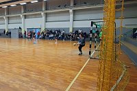 Bild: Handball-Ergebnisdienst