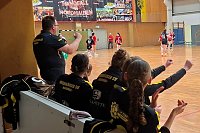 Bild: Handball-Ergebnisdienst