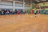 Bild: Handball-Ergebnisdienst