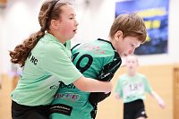 Bild: Handball-Ergebnisdienst