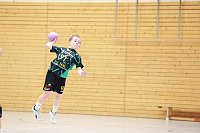 Bild: Handball-Ergebnisdienst