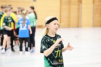 Bild: Handball-Ergebnisdienst