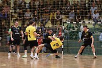 Bild: Handball-Ergebnisdienst