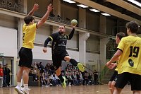Bild: Handball-Ergebnisdienst