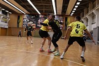 Bild: Handball-Ergebnisdienst