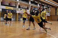 Bild: Handball-Ergebnisdienst