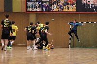 Bild: Handball-Ergebnisdienst