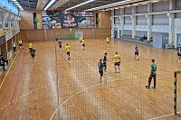 Bild: Handball-Ergebnisdienst
