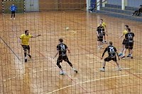 Bild: Handball-Ergebnisdienst