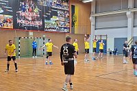 Bild: Handball-Ergebnisdienst