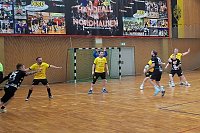 Bild: Handball-Ergebnisdienst