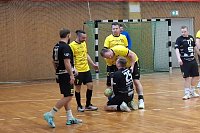 Bild: Handball-Ergebnisdienst