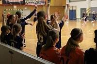Bild: Handball-Ergebnisdienst