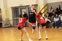 Impressionen vom Handball-Wochenende Bild: Impressionen vom Handball-Wochenende