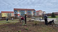 Bild: Arbeitseinsatz im Bleichpark