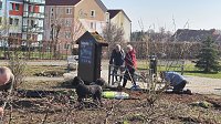 Bild: Arbeitseinsatz im Bleichpark