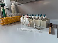 Bild: Sieben Sch&uuml;lerinnen und Sch&uuml;ler des Humboldt-Gymnasiums waren bei der Landeschemieolympiade in Jena. 
