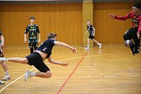 Bild: Impressionen ovm Handball-Wochenende
