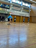 Bild: Impressionen ovm Handball-Wochenende