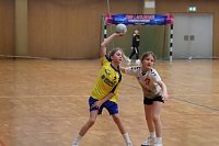 Bild: Impressionen ovm Handball-Wochenende