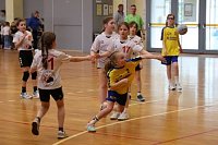 Bild: Impressionen ovm Handball-Wochenende