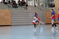 Bild: Impressionen ovm Handball-Wochenende