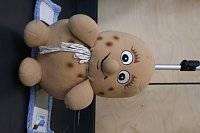 Bild: Impressionen ovm Handball-Wochenende