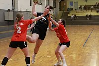 Bild: F&uuml;r die Handball-Damen des NSV hielt das Wochenende vor allem Frust bereit