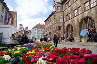 Bild: Brunnenfest und verkaufsoffener Sonntag in Nordhausen.