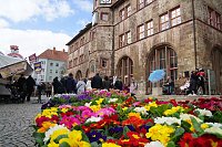 Bild: Brunnenfest und verkaufsoffener Sonntag in Nordhausen.
