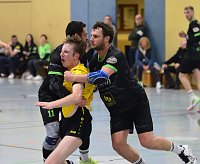 Bild: Handball-Ergebnisdienst