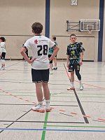 Bild: Handball-Ergebnisdienst