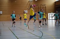 Bild: Handball-Ergebnisdienst