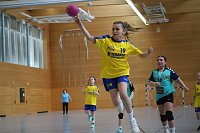 Bild: Handball-Ergebnisdienst