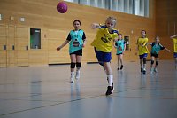 Bild: Handball-Ergebnisdienst