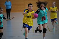 Bild: Handball-Ergebnisdienst