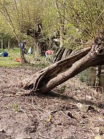 Frühjahrsputz in Niedersalza Bild: Frühjahrsputz in Niedersalza