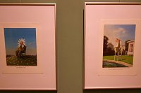Bild: Welch ein Gl&uuml;ck - neue Ausstellung im Kunsthaus Meyenburg