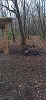 Bild: Sachbesch&auml;digung in S&uuml;lzhayn