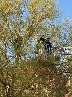 Bild: Feuerwehr und Polizei bekamen schlie&szlig;lich doch noch Arbeit
